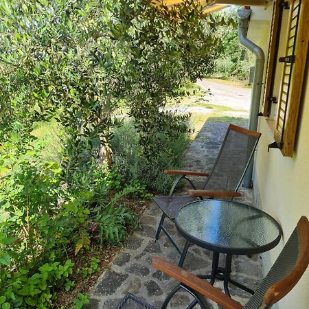 Apartma Istra Zora Secovlje Bagian luar foto