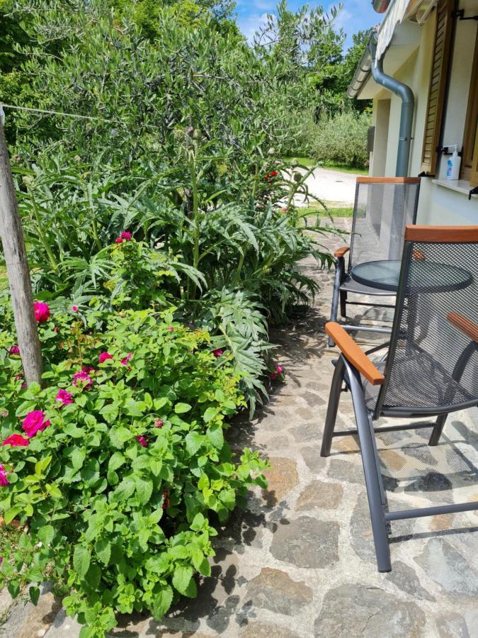 Apartma Istra Zora Secovlje Bagian luar foto