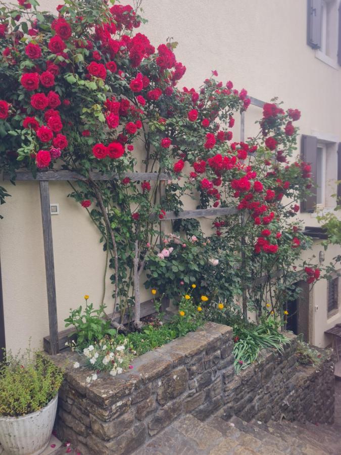 Apartma Istra Zora Secovlje Bagian luar foto