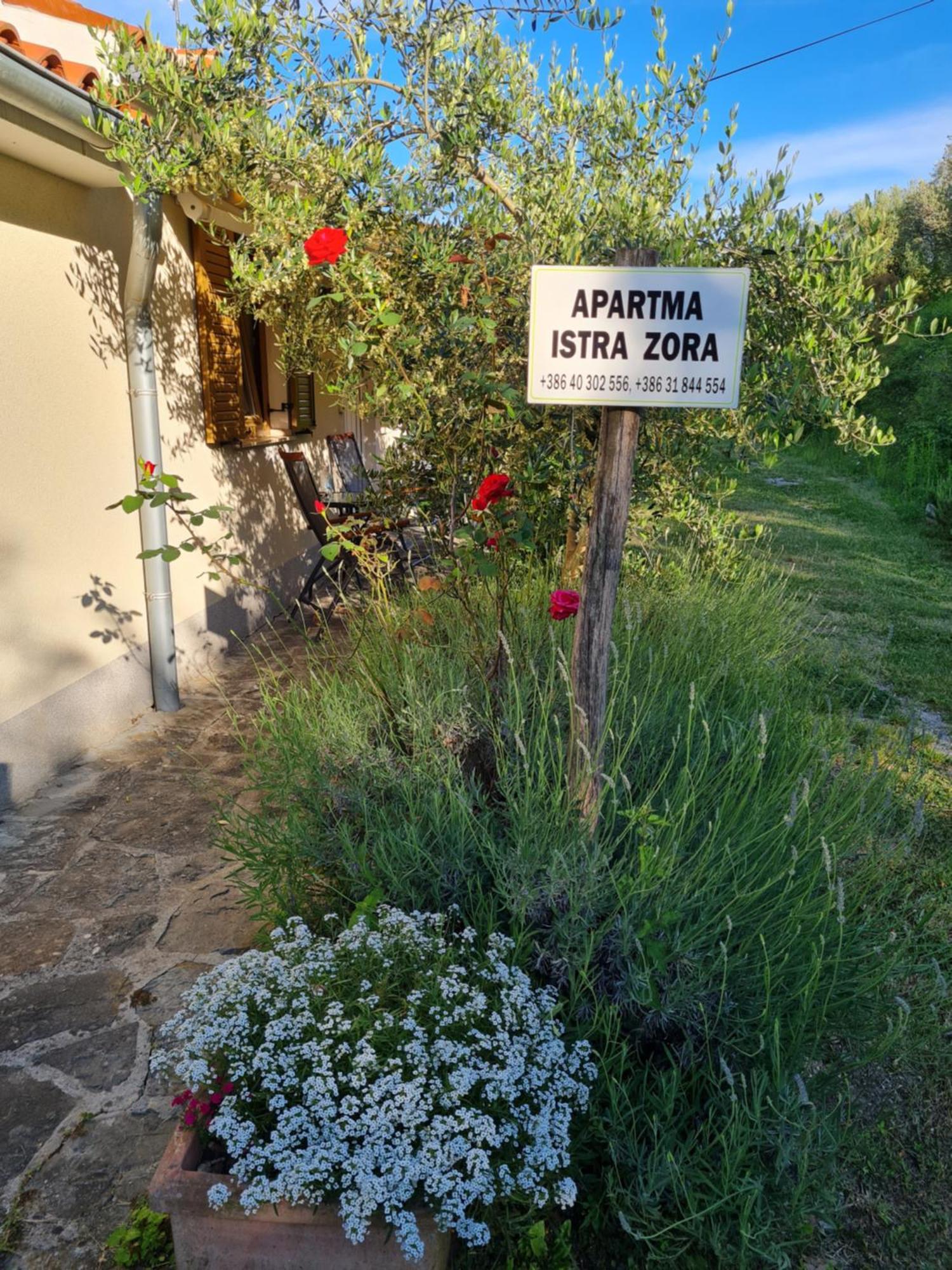 Apartma Istra Zora Secovlje Bagian luar foto