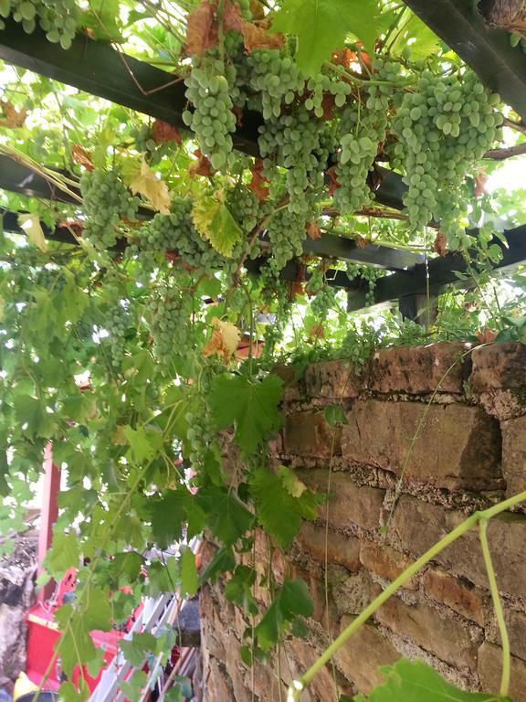 Apartma Istra Zora Secovlje Bagian luar foto