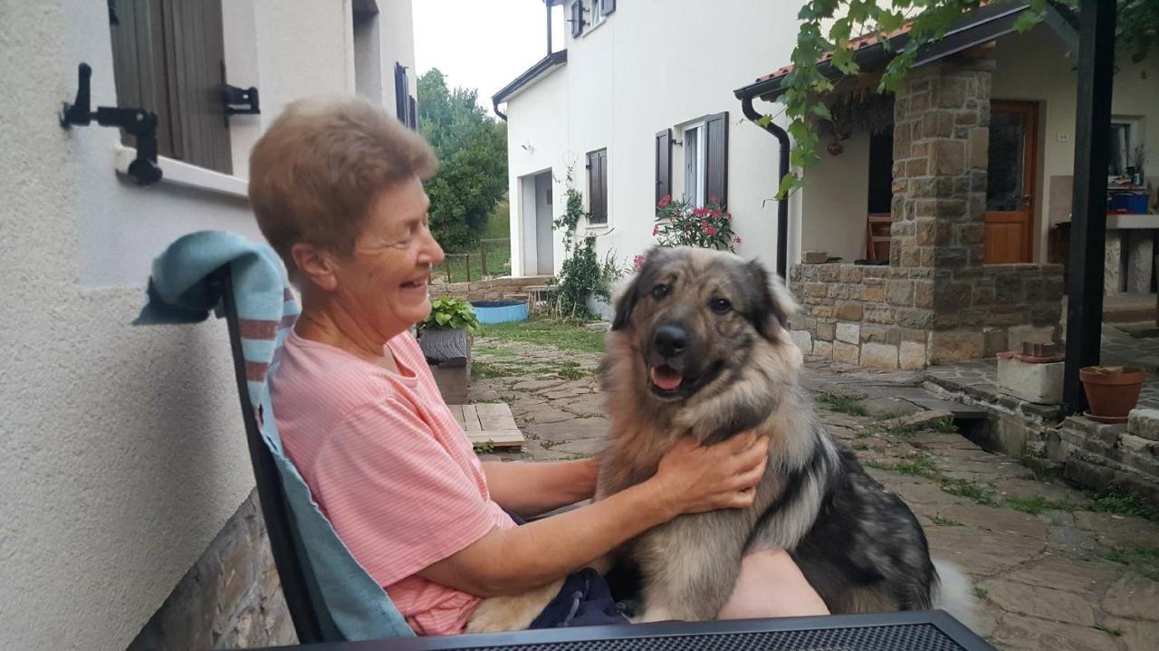 Apartma Istra Zora Secovlje Bagian luar foto