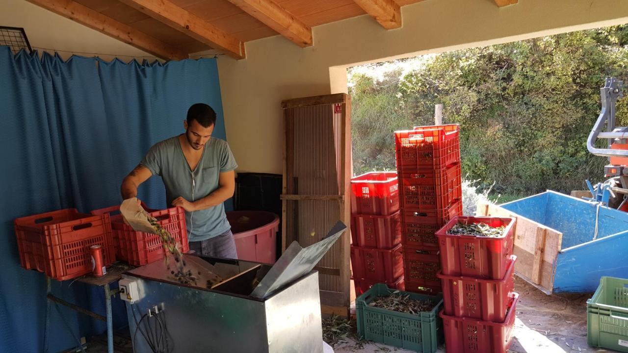 Apartma Istra Zora Secovlje Bagian luar foto
